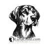 NEU Stickdatei Gebirgsschschweißhund August