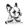 NEU Stickdatei Französische Bulldogge Luna Hund