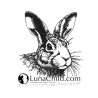 NEU Stickdatei Hase Gunther Lunachild