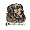 NEU Stickdatei Applikation Hovawart Liandra