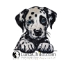 NEU Stickdatei Applikation Dalmatiner Lutz Lunachild