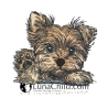 NEU Stickdatei Applikation Yorkshire Welpe Benny