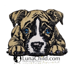 NEU Stickdatei Appli Staffordshire Bull Terrier Jan