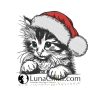 NEU Stickdatei Katze mit Weihnachtsmütze Ria Kitten