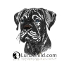 NEU Stickdatei Carne Corso Welpe Gill Hund