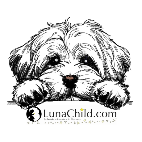 NEU Stickdatei Havaneser Summer Hund