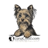 NEU Stickdatei Applikation Yorkshire Terrier Charly