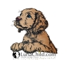 NEU Applikation Stickdatei Irish Setter Tabsy Hund