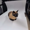 Haustier als Figur - personalisierter 3D-Druck
