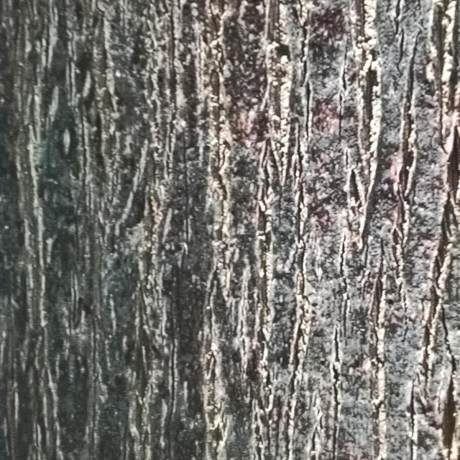 Wood 2