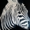 Dekokissen mit Zebra-Motiv