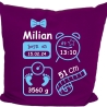 Kissen 40x40 cm SCHLEIFE BOY personalisiert mit Geburtsdaten/Name