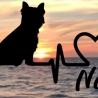 Aufkleber Herzlinie Heartbeat Hund West Highland Terrier