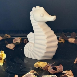 Seepferdchen Seepferdchen