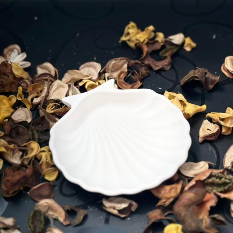 Muschelschale