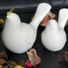 Zwei Vögel