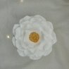 Camellia-Dose mit goldener Blütenmitte