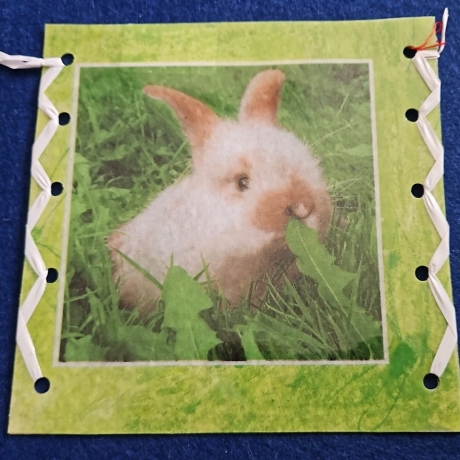 Windlichthülle