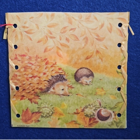 Windlichthülle