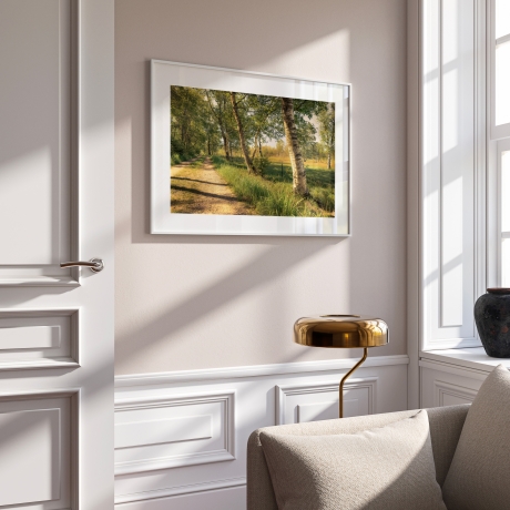 Fotografie Birken Allee - FineArt Druck