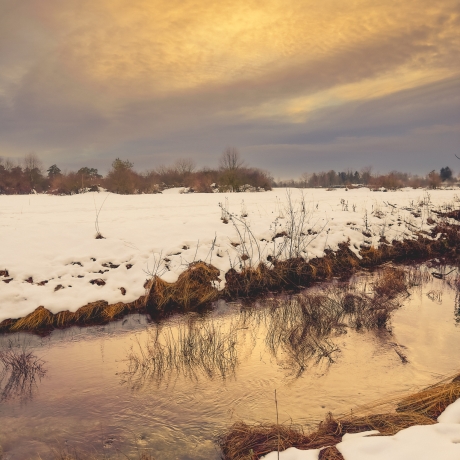Fotografie Winter-Abendstimmung - FineArt Druck