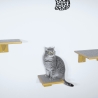 XL Hüpfstufe für Katzen - Katzenkletterwand