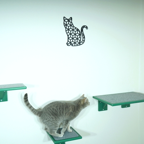 XL Hüpfstufe für Katzen - Katzenkletterwand