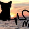 Aufkleber Herzlinie Heartbeat Hund Yorkshire Terrier
