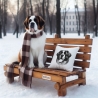 NEU Stickdatei Bernhardiner Magic Hund 