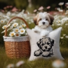 NEU Stickdatei Applikation Havaneser Welpe Silvie