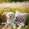 NEU Stickdatei Havaneser Summer Hund