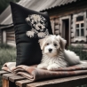NEU Stickdatei Applikation Havaneser Welpe Silvie