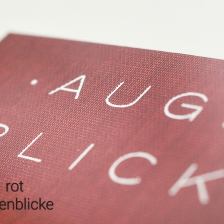 Leporello, 10 Fotos, handgefertigt, Gewebe, Prägung, Satinband