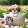 NEU Stickdatei Applikation Shih Tzu Laila Hund