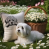 NEU Stickdatei Havaneser Summer Hund