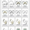 0044– Stickdateien Hochzeit