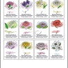 0056- Stickdateien Jahresblumen inkl. ITH