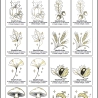 0073– Stickdateien Set elegantAutumn– ab 10x10 cm- ITH ab 13x18cm