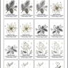 0073– Stickdateien Set elegantWinter– ab 10x10 cm
