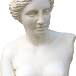 Wunderschöne Büste der Venus. 39 cm.