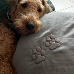 Trapunto/ 3D - 2 Pfoten - 12.42x13.37 cm