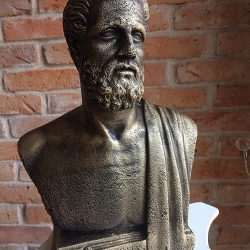 Schöne Büste des Hippokrates. 31 cm.
