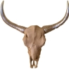 Schöne Wanddekoration - Büffelschädel. 63 cm.