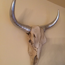 Schöne Wanddekoration - Büffelschädel. 63 cm.