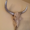 Schöne Wanddekoration - Büffelschädel. 63 cm.