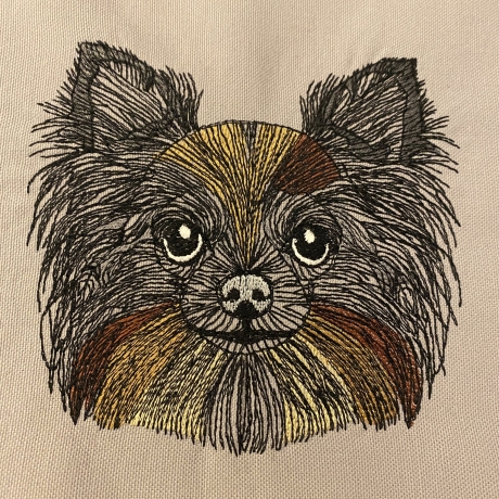 Chihuahua - 12.78 x 11.74 cm