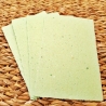 Handgeschöpftes Papier | 10 Bögen 13×8,5 cm | Grünes Büttenpapier