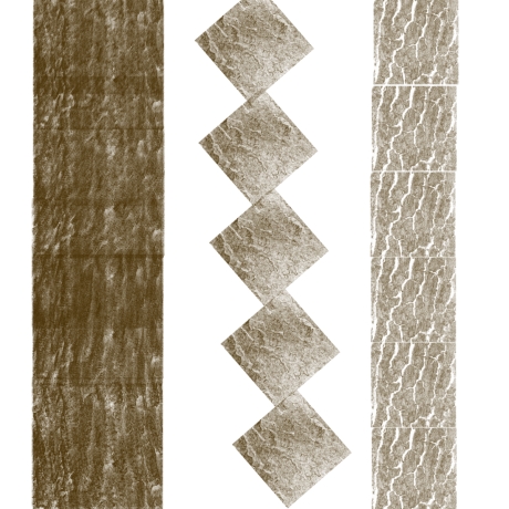 10 Baumrinden-Pinsel 5k ABR von echten Fotos Kommerzielle Lizenz