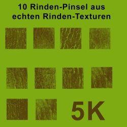 10 Baumrinden-Pinsel 5k ABR von echten Fotos Kommerzielle Lizenz