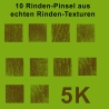 10 Baumrinden-Pinsel 5k ABR von echten Fotos Kommerzielle Lizenz